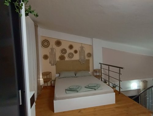 Galia25