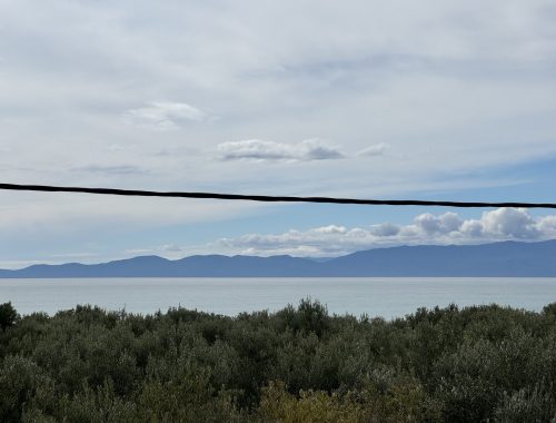 ofr1